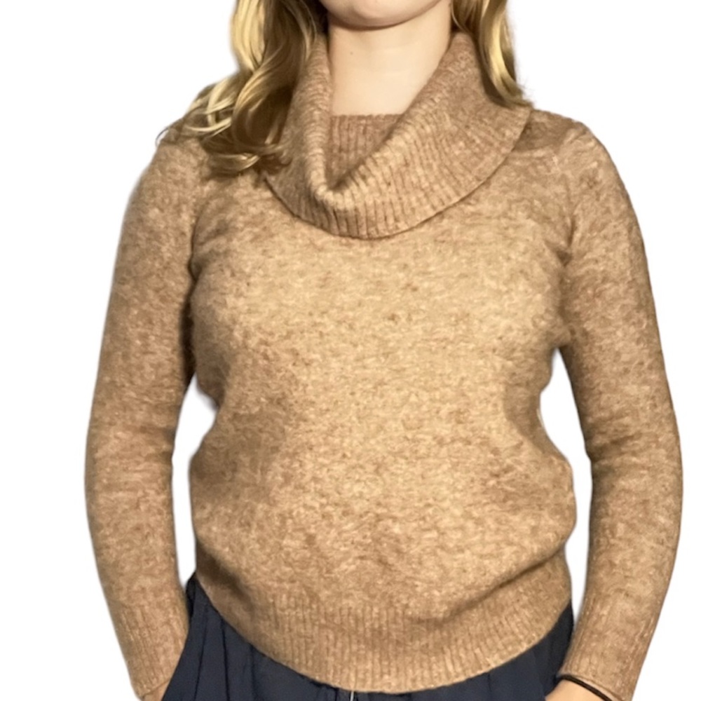 Wilfred Free Aritzia Women's Alpaca Sweater XS Cozy Warm Brown Turtleneck